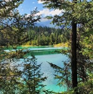 Meet your Posher, Shelley